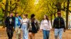 Sechs Jugendliche spazieren durch den Bonner Hofgarten